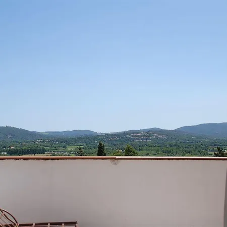 Aloasis * Grimaud