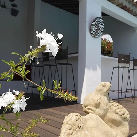 Aloasis Bed & Breakfast *