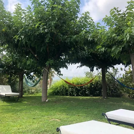 Bed & Breakfast Aloasis